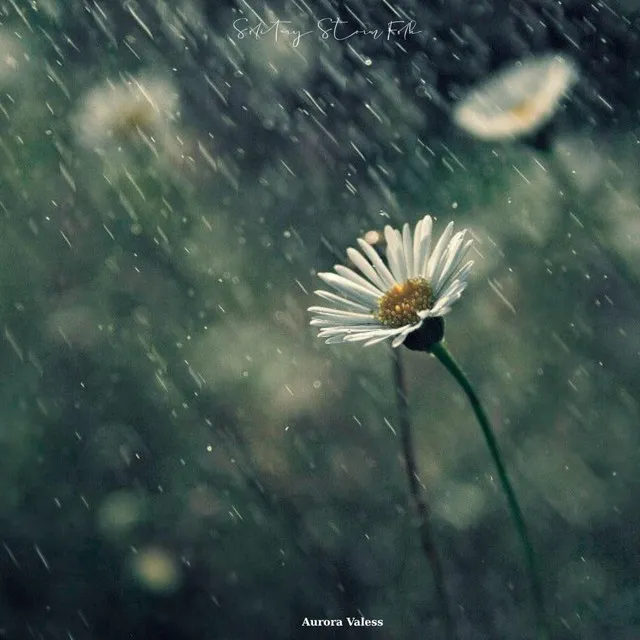 Storm • Cały album • Wszystkie utwory • Wykonawca