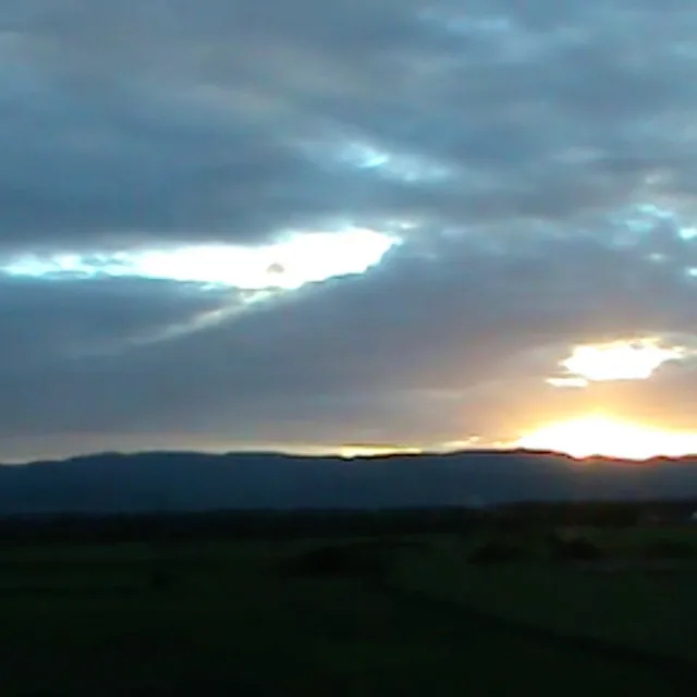 summer freestyle • Cały album • Wszystkie utwory • Wykonawca