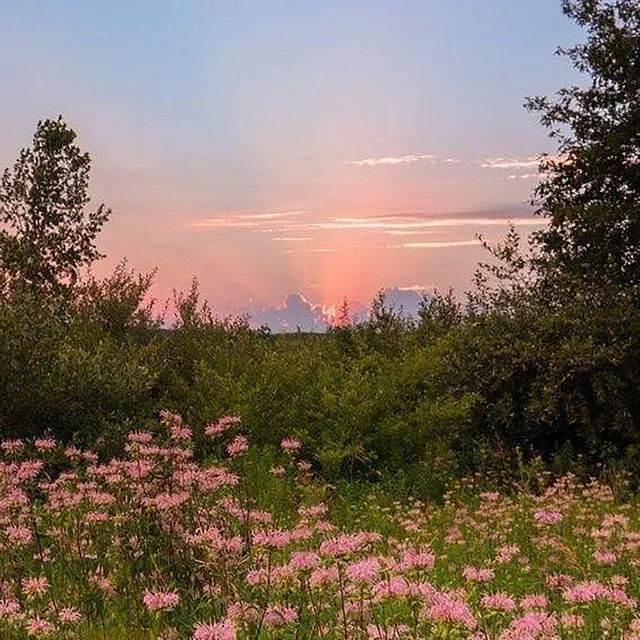 It’s That Time Again • Cały album • Wszystkie utwory • Wykonawca