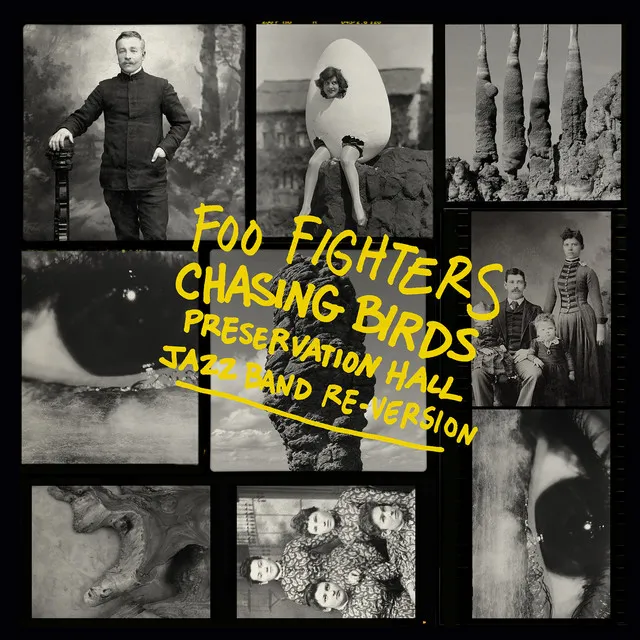 Chasing Birds (Preservation Hall Jazz Band Re-Version) • Cały album • Wszystkie utwory • Wykonawca