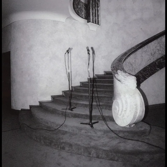 Fried Rice • Cały album • Wszystkie utwory • Wykonawca