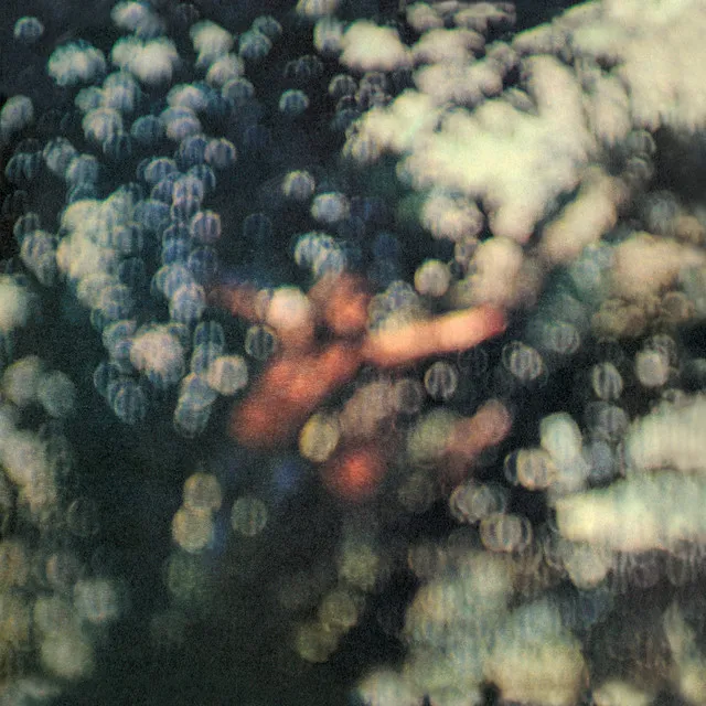Obscured by Clouds • Cały album • Wszystkie utwory • Wykonawca