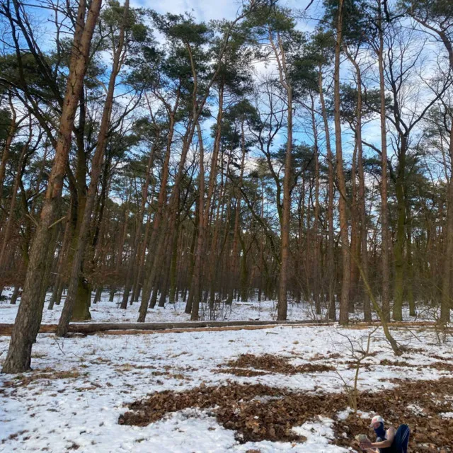 sztuczki • Cały album • Wszystkie utwory • Wykonawca