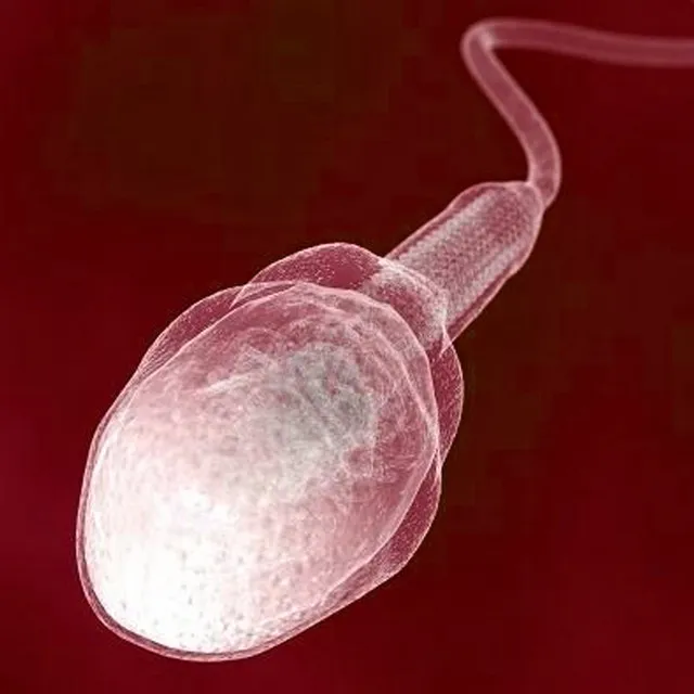 GANGBANG • Cały album • Wszystkie utwory • Wykonawca