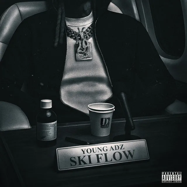 Ski Flow • Cały album • Wszystkie utwory • Wykonawca