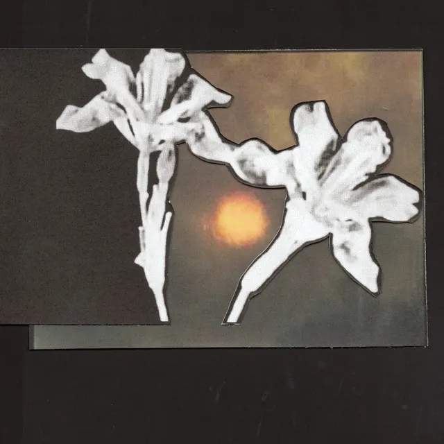 Loving You / Don't Let Me Go • Cały album • Wszystkie utwory • Wykonawca