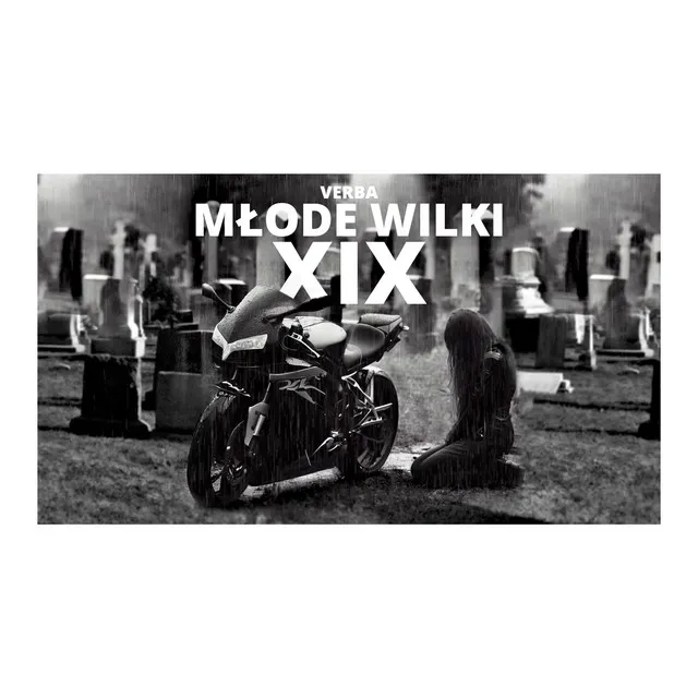 Młode Wilki • Cały album • Wszystkie utwory • Wykonawca