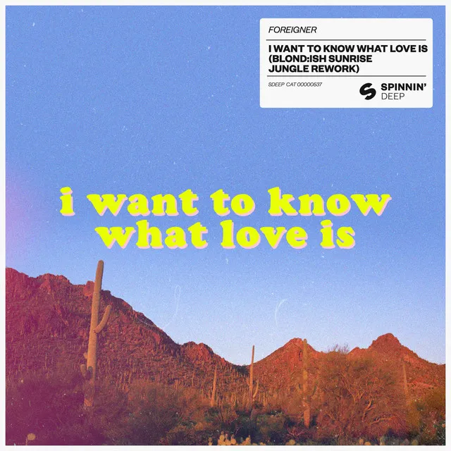I Want To Know What Love Is (BLOND:ISH Sunrise Jungle Rework) • Cały album • Wszystkie utwory • Wykonawca