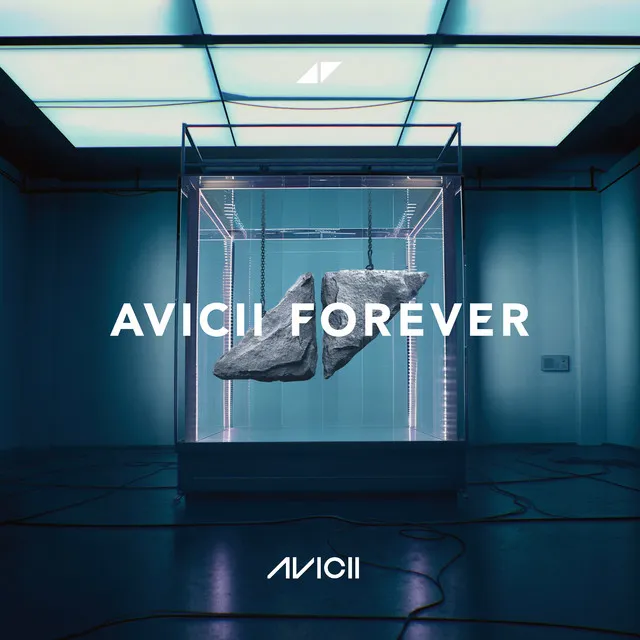 Avicii Forever • Cały album • Wszystkie utwory • Wykonawca