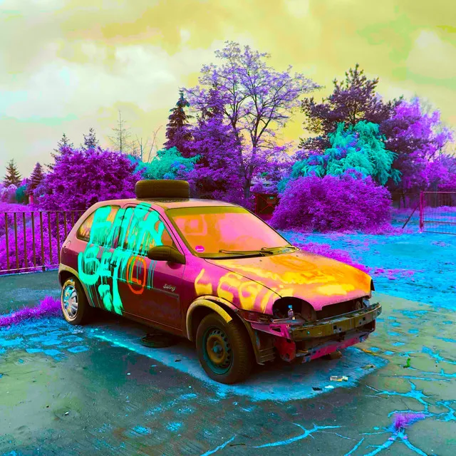 PERSONA NON GRATA 21' • Cały album • Wszystkie utwory • Wykonawca