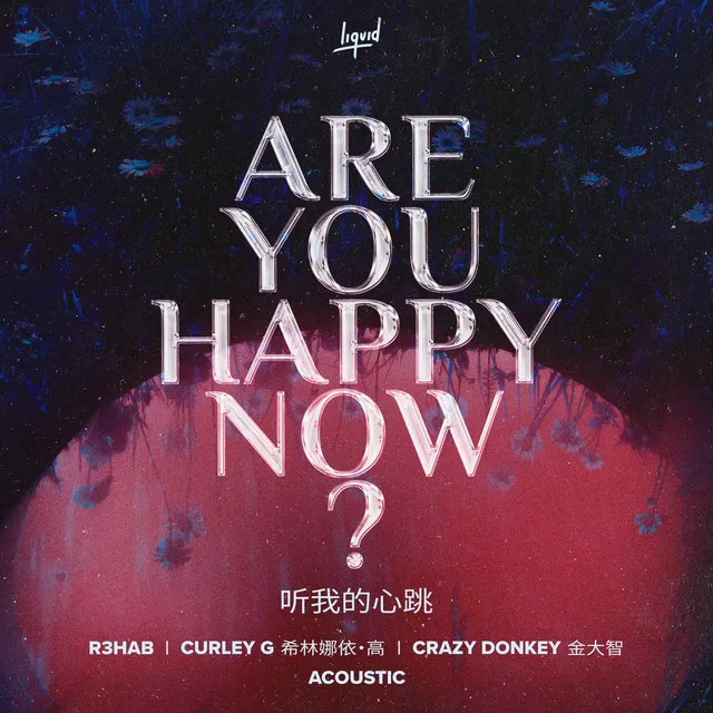 Are You Happy Now (Acoustic) • Cały album • Wszystkie utwory • Wykonawca