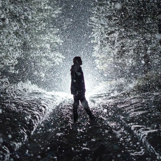 Willfully Blind • Cały album • Wszystkie utwory • Wykonawca