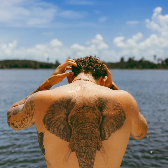 frente al mar • Cały album • Wszystkie utwory • Wykonawca