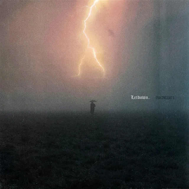 Raincoat • Cały album • Wszystkie utwory • Wykonawca