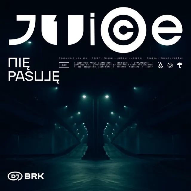 Nie Pasuję • Cały album • Wszystkie utwory • Wykonawca