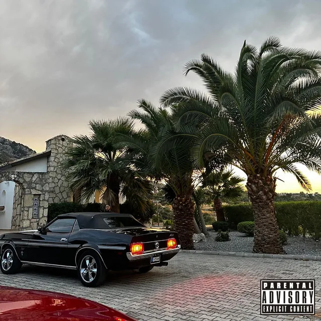 MONEY AND VIBES • Cały album • Wszystkie utwory • Wykonawca