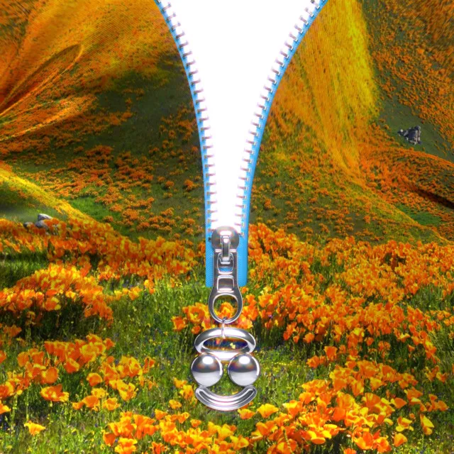 Lust For Life (BloodPop® Remix) • Cały album • Wszystkie utwory • Wykonawca