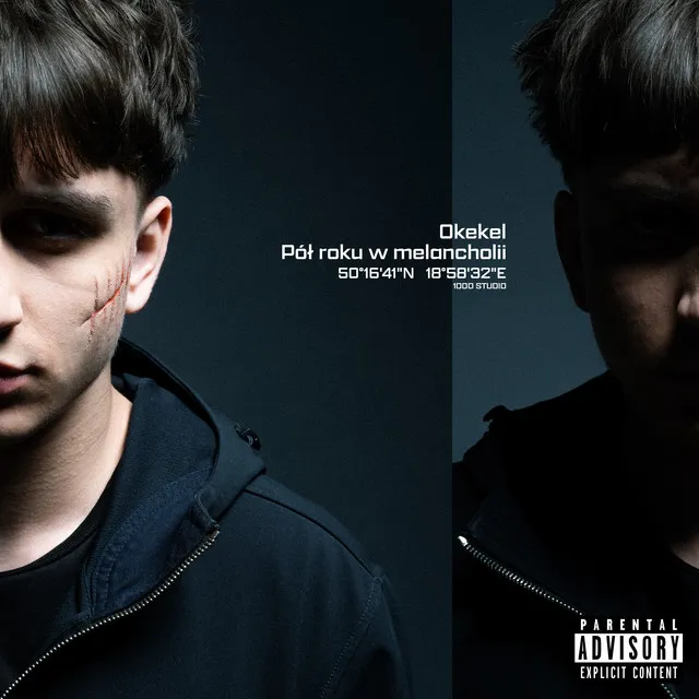 Pół roku w melancholii • Cały album • Wszystkie utwory • Wykonawca