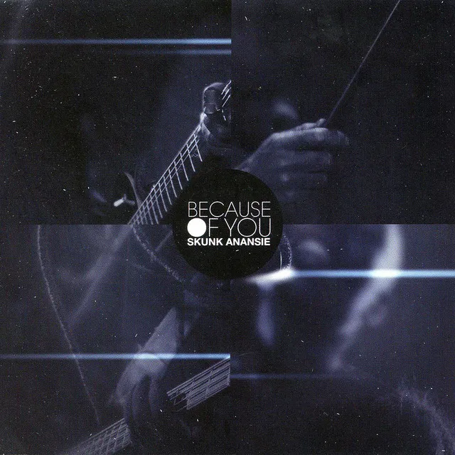 Because Of You (Promo mixes) • Cały album • Wszystkie utwory • Wykonawca