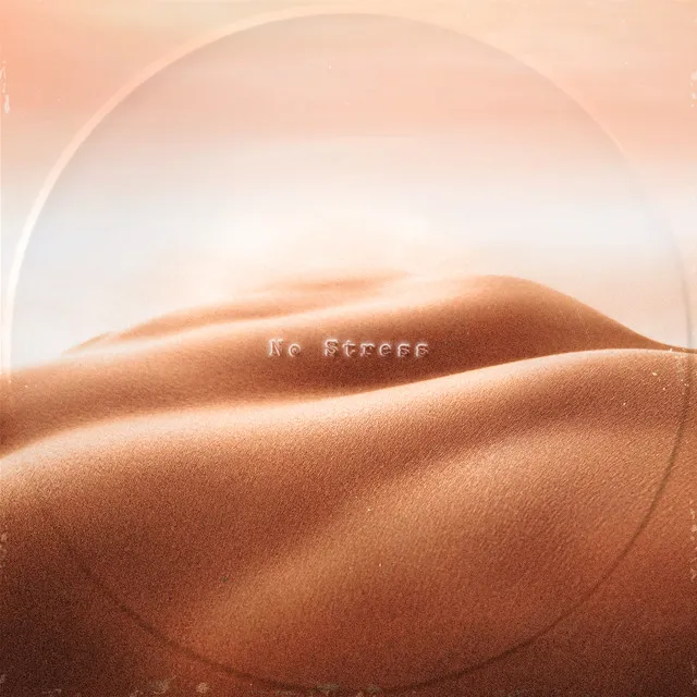 No Stress • Cały album • Wszystkie utwory • Wykonawca