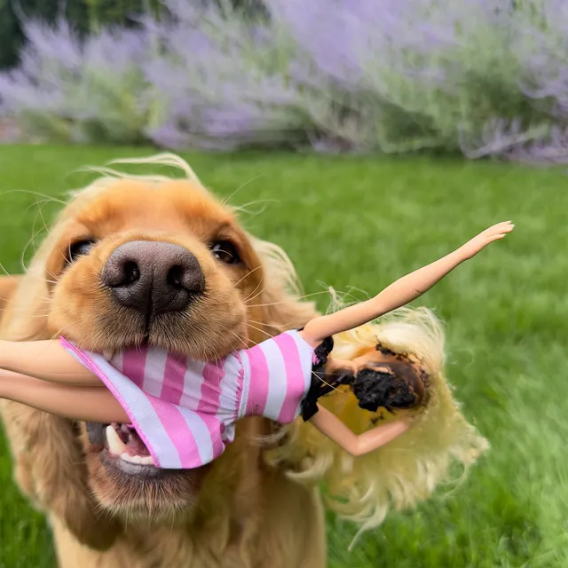 5 milionów influencerek • Cały album • Wszystkie utwory • Wykonawca