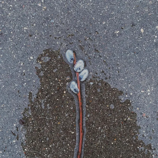 Rzucasz słowa na wiatr • Cały album • Wszystkie utwory • Wykonawca