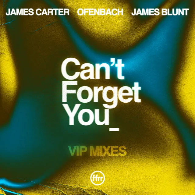 Can’t Forget You (feat. James Blunt) [VIP Mixes] • Cały album • Wszystkie utwory • Wykonawca