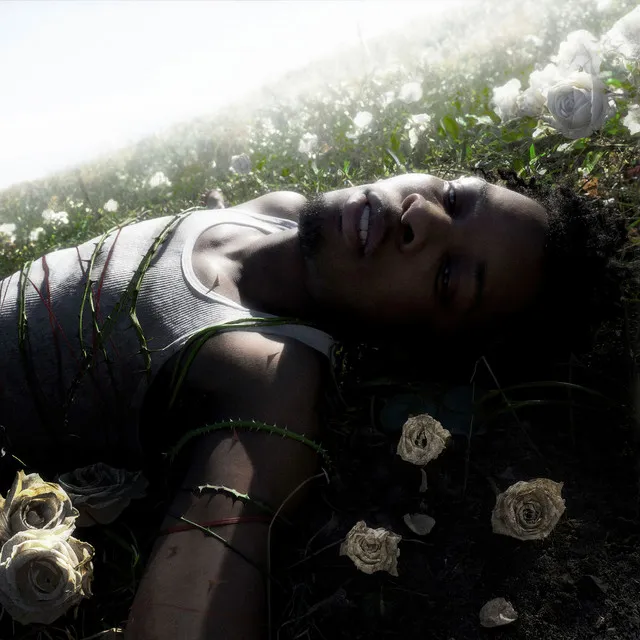 WITHERED • Cały album • Wszystkie utwory • Wykonawca