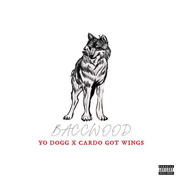 Baccwood • Cały album • Wszystkie utwory • Wykonawca