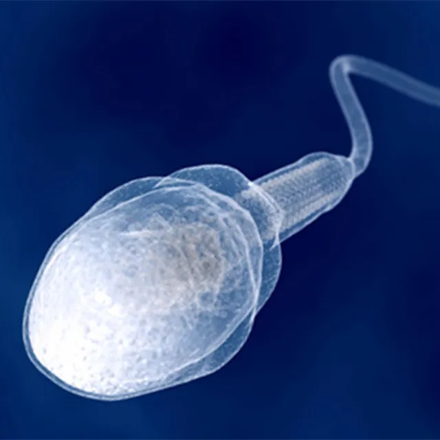 Nigerki • Cały album • Wszystkie utwory • Wykonawca