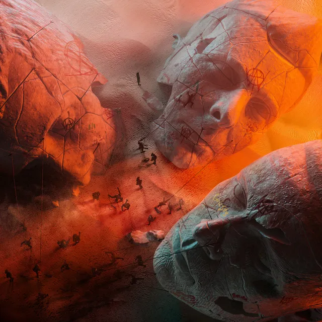 Compliance • Cały album • Wszystkie utwory • Wykonawca