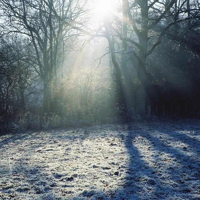 Heavenward • Cały album • Wszystkie utwory • Wykonawca