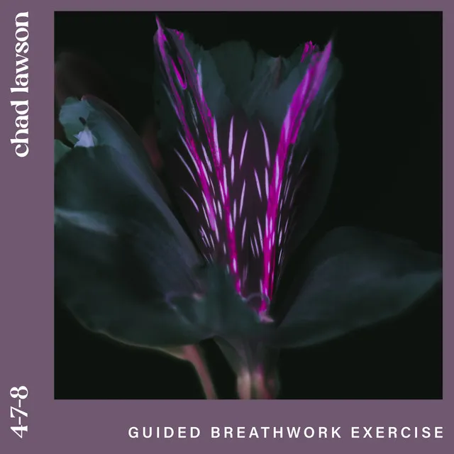 4-7-8 (guided breathwork exercise) • Cały album • Wszystkie utwory • Wykonawca