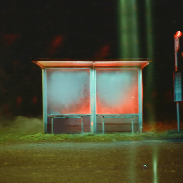 The Last Man on Earth (Lullaby Version) • Cały album • Wszystkie utwory • Wykonawca