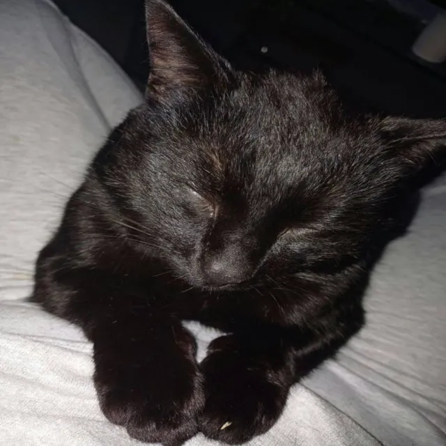 nie mogłem zasnąć • Cały album • Wszystkie utwory • Wykonawca