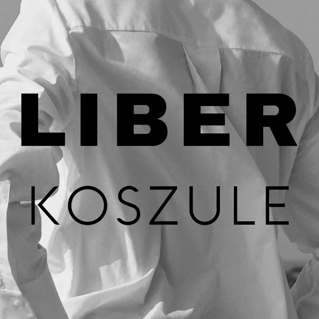 Koszule • Cały album • Wszystkie utwory • Wykonawca