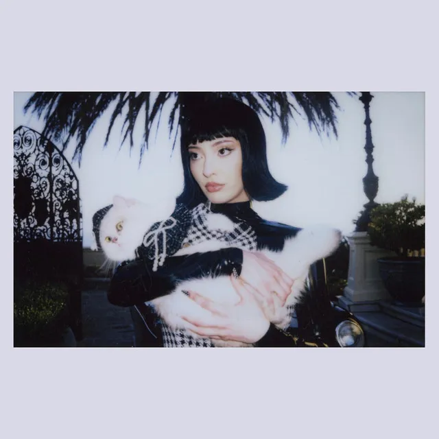 PEACE & VIOLENCE • Cały album • Wszystkie utwory • Wykonawca