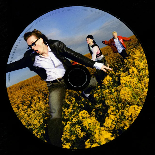 NIEPRZESPANE NOCE • Cały album • Wszystkie utwory • Wykonawca