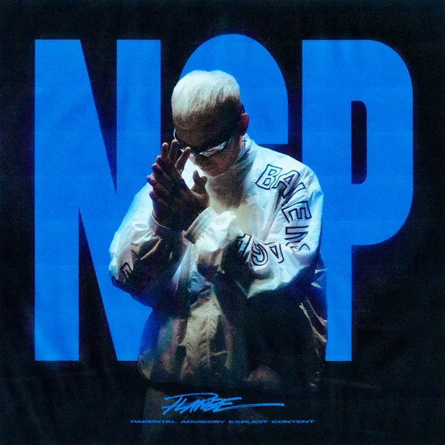 NSP • Cały album • Wszystkie utwory • Wykonawca