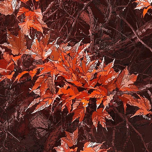 Co tam jak się masz (Wersja alternatywna) • Cały album • Wszystkie utwory • Wykonawca