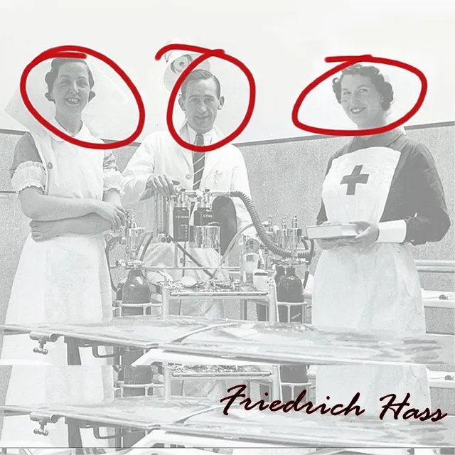 FRIEDRICH HASS (2012) • Cały album • Wszystkie utwory • Wykonawca