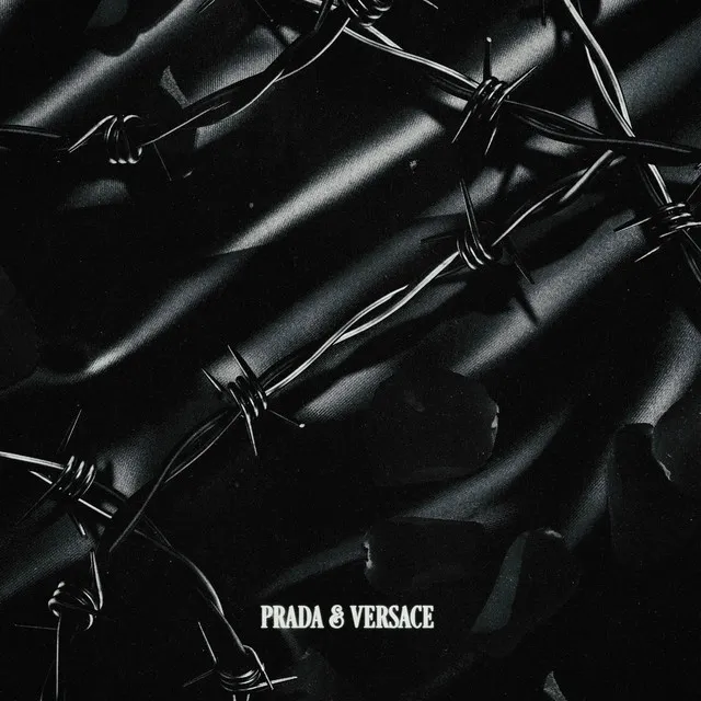 PRADA & VERSACE • Cały album • Wszystkie utwory • Wykonawca