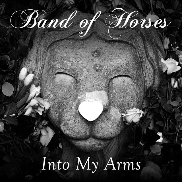 Into My Arms • Cały album • Wszystkie utwory • Wykonawca