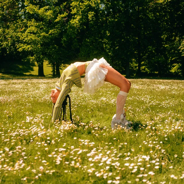 Wenn das Liebe ist • Cały album • Wszystkie utwory • Wykonawca