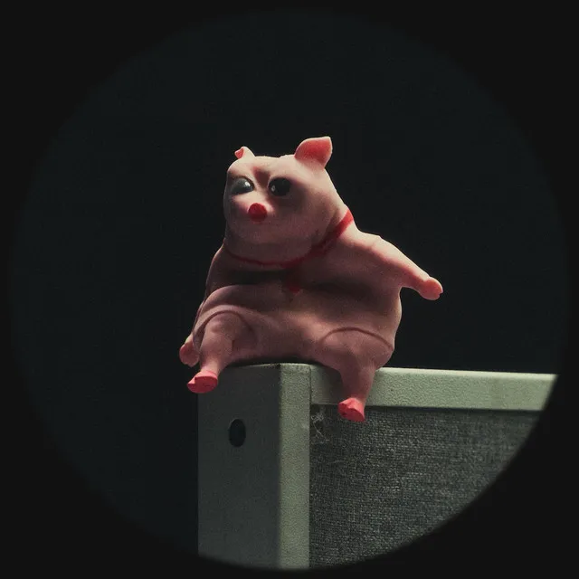 koto freestyle • Cały album • Wszystkie utwory • Wykonawca