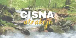 Najlepsze atrakcje w Brighton, które musisz zobaczyć podczas wizyty