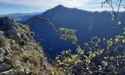 Skała i samotna sosna na zboczu, widok na góry Pieniny.
