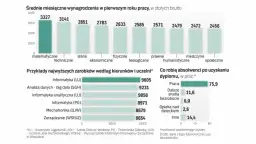 Pierwsza praca po studiach zarobki – co naprawdę możesz zarobić?