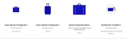 Ile kosztuje bagaż rejestrowany w Wizz Air? Sprawdź ceny i oszczędź
