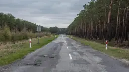 Droga przez las z wybojami. Słupki graniczne drogi, co ile są na autostradzie, wyznaczają jej krawędź.
